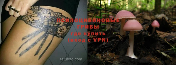 молекула духа Балабаново