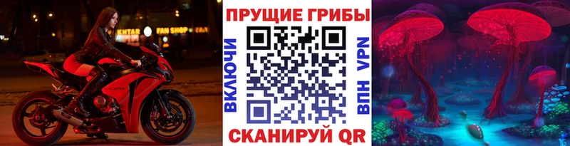 Псилоцибиновые грибы мухоморы  купить  сайты  Нижний Ломов 